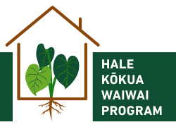 Hale%20k%c5%8dkua%20waiwai%20program%20newspost%20image%20%28250%20x%20180%20px%29
